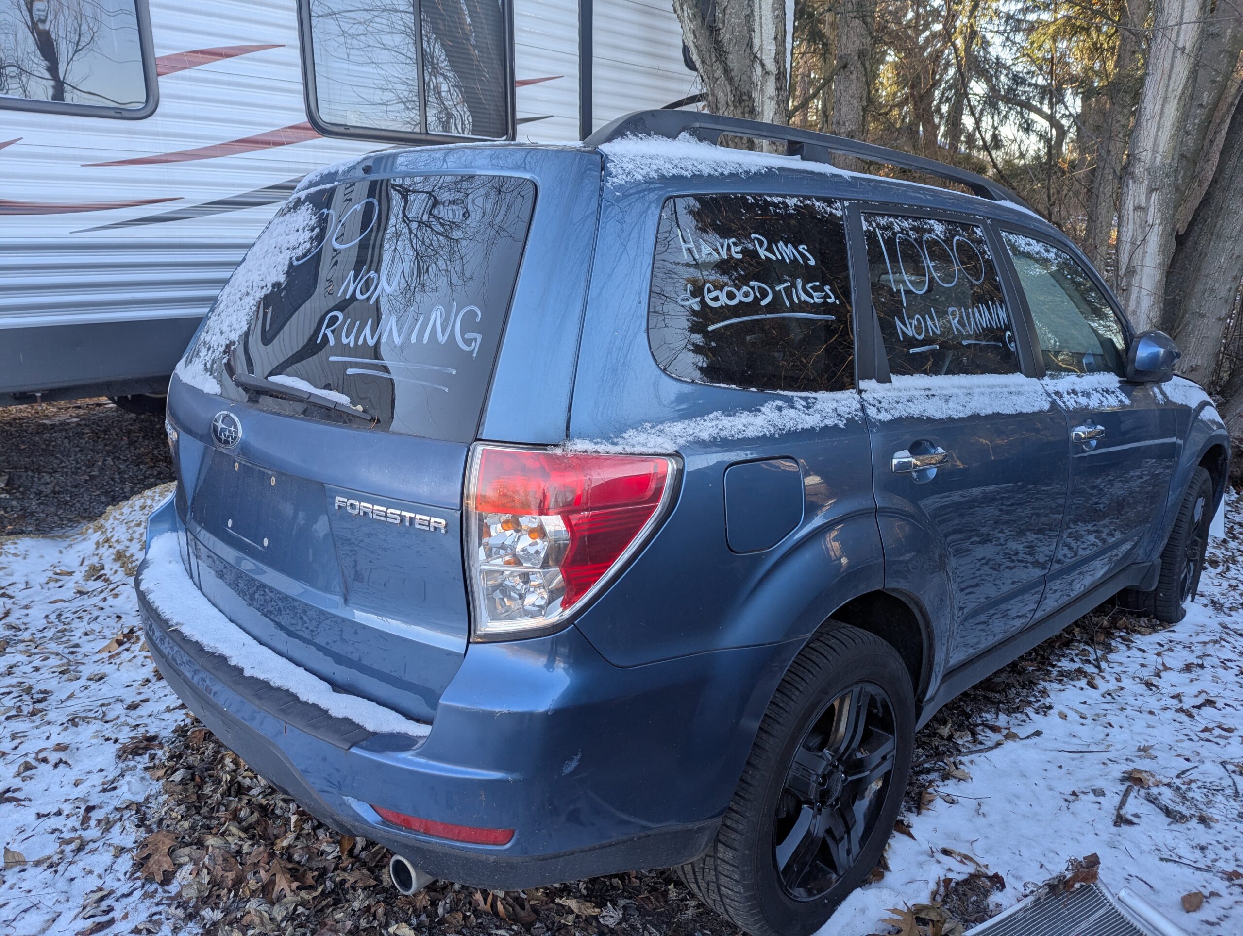 
								Subaru Forester full									